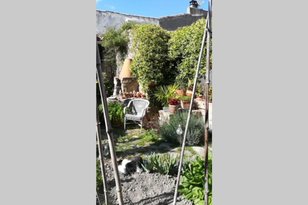 Gite La Remise, Maison Avec Jardin Lagrasse Exterior foto